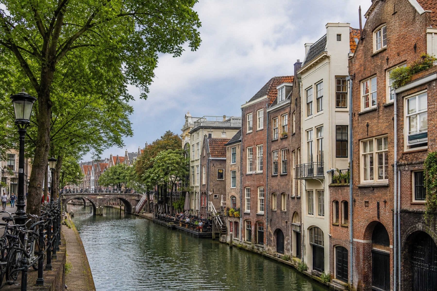 Oudegracht met werfkelders, bomen langs het water en trapgevels
